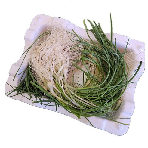 햇달래 달래 세척달래 달래나물 200g 500g 1KG 2kg