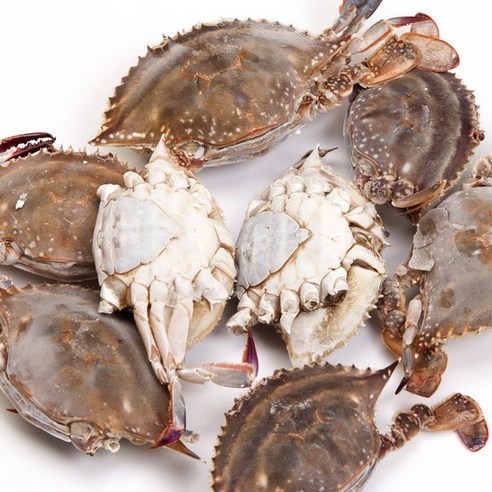 자연에더 서해 연평도 제철 급냉 알배기 몽당꽃게 2kg - 8~10미, 1개