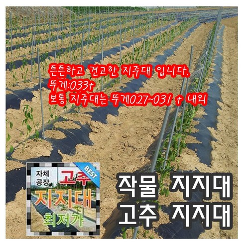 고추지지대 1.5M 50개 15MM 밭 말뚝 식물지지대 텃밭 농작물 고추대 작물