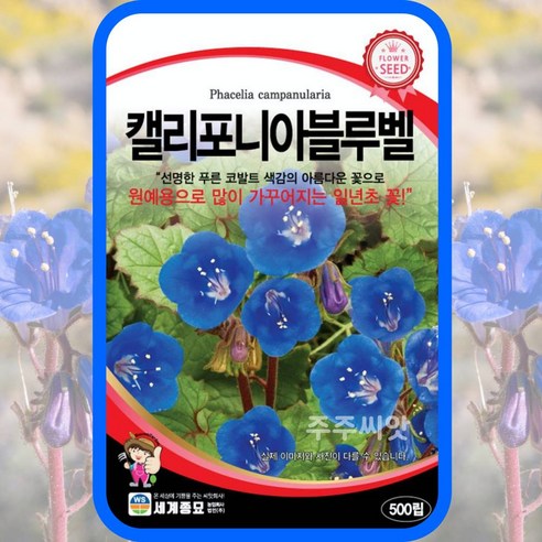 정원의 화려함과 생기를 위한 꽃씨 5종세트