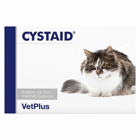 벳플러스 시스테이드 고양이용 캡슐 30정, 1개, 유리너리 영양제