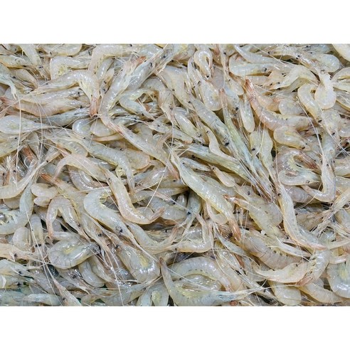 자연산 민물새우의 신선함과 풍부한 맛을 집에서 즐기세요