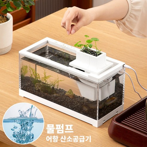 수중 세계의 아름다움과 평온함을 가정에 가져오도록 설계된 EVOKME 생태 어항