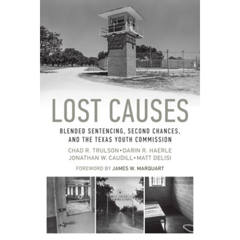 (영문도서) Lost Causes: Blended Sentencing Second Chances and the Texas Youth Commission Paperback, University of Texas Press, English, 9781477308455