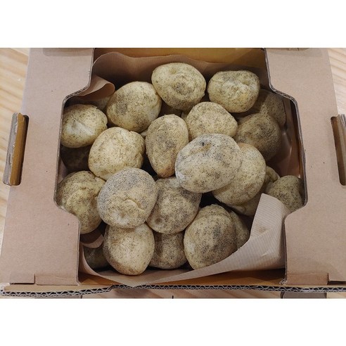 [오후두시] 강원 소울푸드 춘천감자빵 - 직접 농사 지은 감자로 만든 맛도 모양도 리얼 리뷰후기