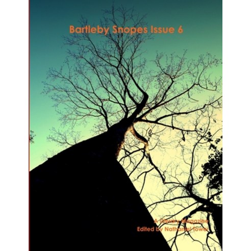 (영문도서) Bartleby Snopes Issue 6 Paperback, Lulu.com, English, 9781257896370