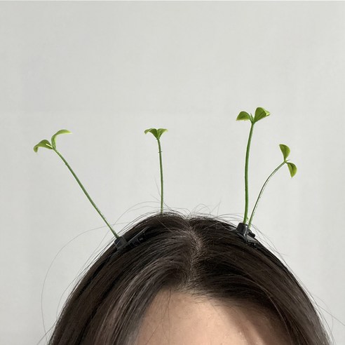 핵인싸 or 웃음 폭탄? 디아브 새싹 머리핀, 당신의 선택은?! 새싹머리핀