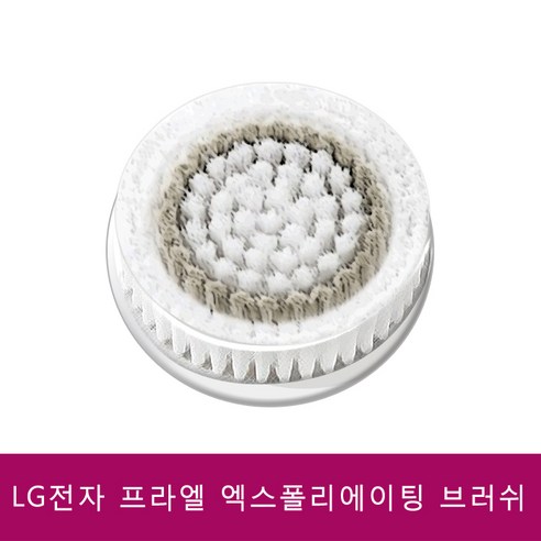 LG전자 프라엘 엑스폴리에이팅 클렌징 브러쉬 지성피부용 BACJ3용, PANTONE 402C