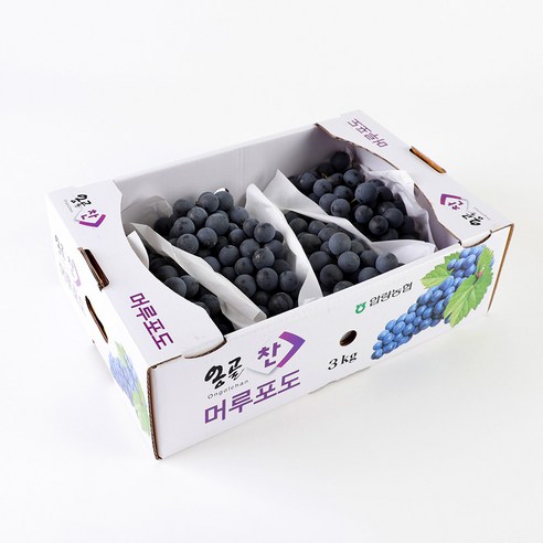 [오감프룻] 프리미엄 꿀당도 가을제철 경산 머루포도(MBA), 1개, 상품 머루포도3kg[5-7수]