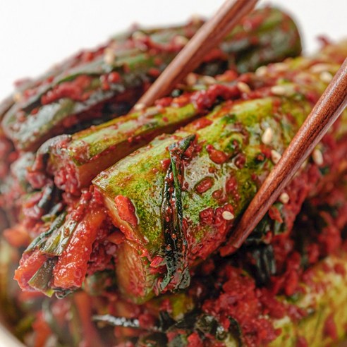 이가네김치 오이소박이 1kg/2kg 100% 국내산 - 오이소박이 | 쿠팡