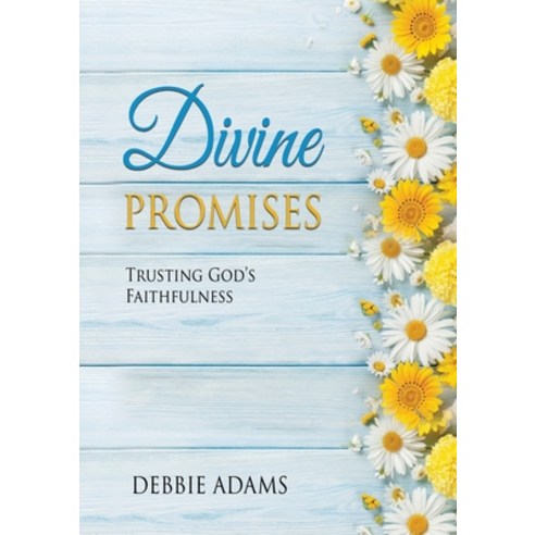 (영문도서) Divine Promises Paperback, Beyond Publishing, English, 9781637925973