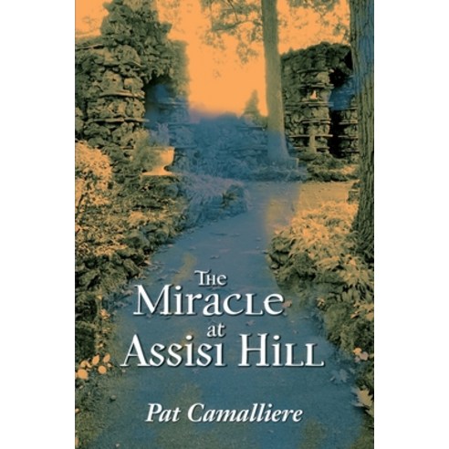 (영문도서) The Miracle at Assisi Hill Paperback, Campat Publications, English, 9798987162408