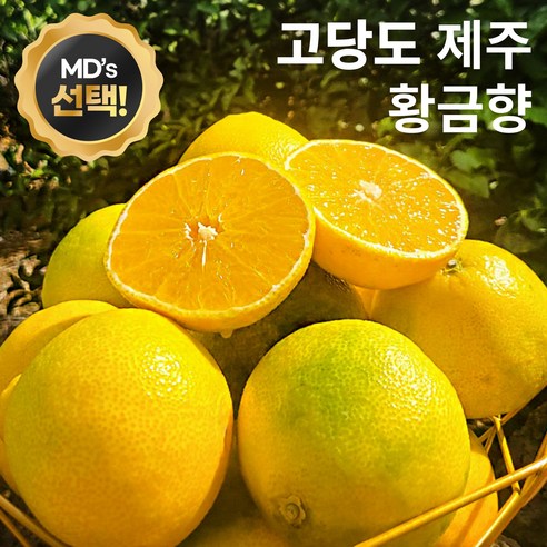 고당도 특품 제주 황금향, 1박스, 3kg 중소과