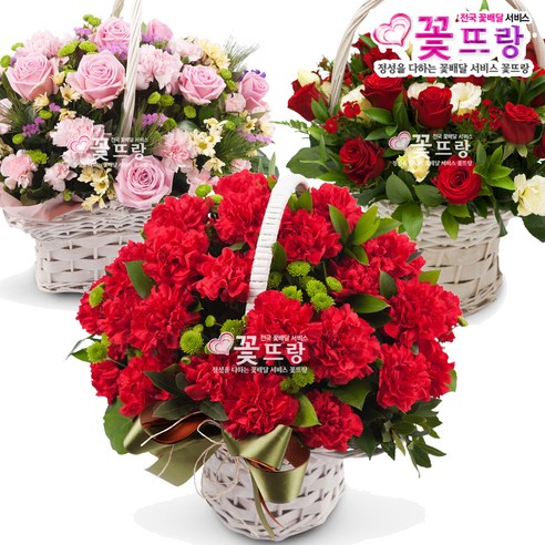 특별한 생화 선물
