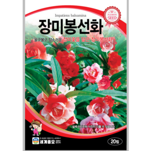 [오케이나우ㅣ강추] 장미봉선화 씨앗: 화려한 정원을 위한 필수품 [OKNOWㅣ추천상품]