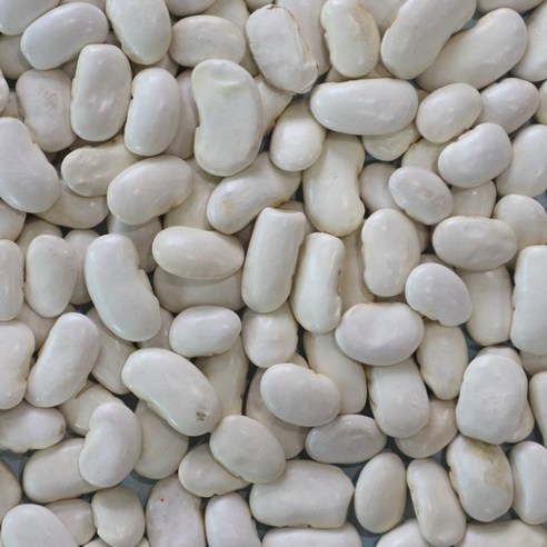 콧속까지 뻥 뚫리는 시원함, 2023년산 흰작두콩으로 비염 탈출!