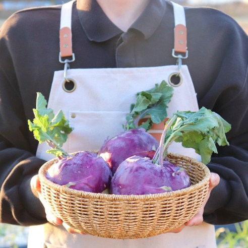 국내산 제주 콜라비1kg 3kg 5kg 산지직송 고당도 빠른배송, 1kg, 1박스