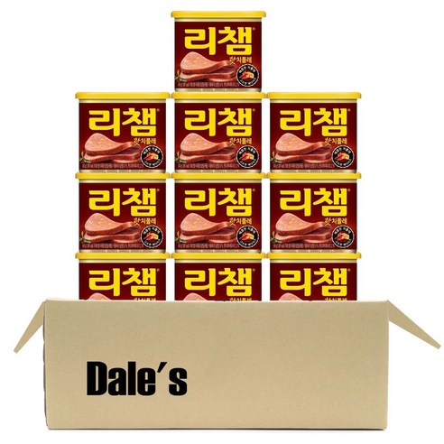 데일즈기획 동원 리챔 핫치폴레, 340g, 10개