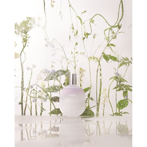 석양빛 향기로 머릿결에 생기를 불어넣다