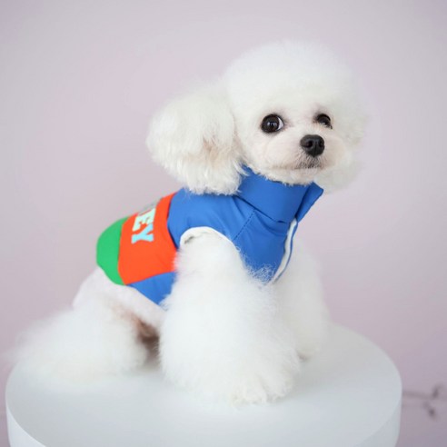 셀리스트 강아지 패딩 조끼 산책 한파 히트 컬러 점퍼 겨울옷 멍템, 1개, 블루