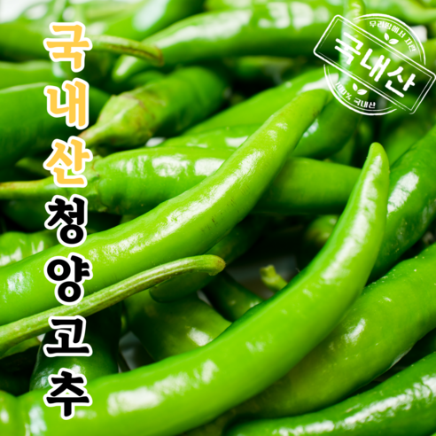 국내산 청양고추 땡초, 2개, 500g