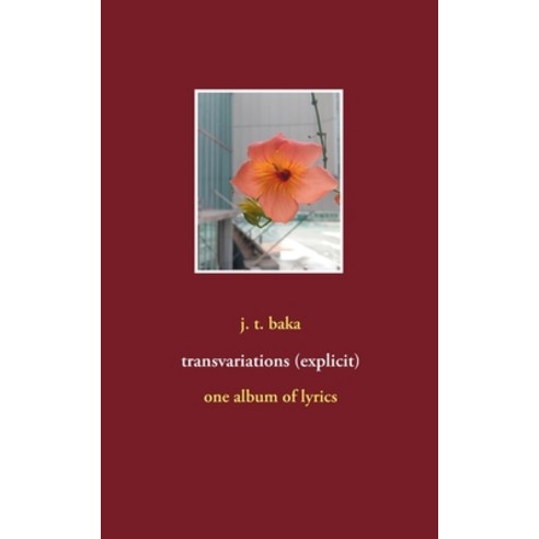 transvariations (explicit): one album of lyrics Paperback, Books on Demand, English, 9783751981033
