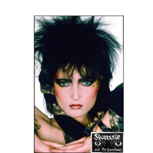 (영문도서) Siouxsie and the Banshees: The Untold Story Paperback, Lulu.com, English, 9781447769385