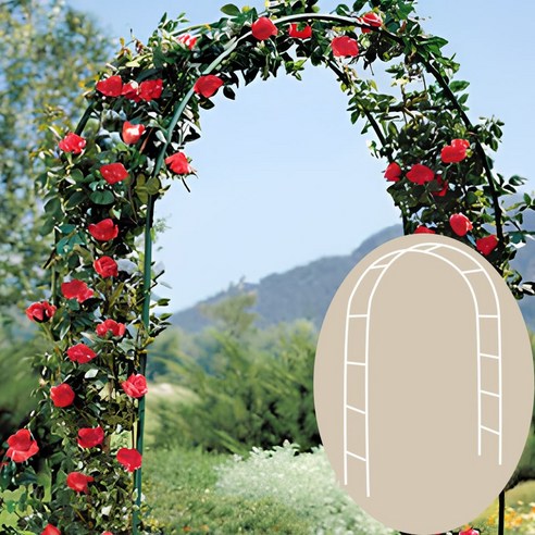 넝쿨 장미의 낭만, 당신의 정원을 예술로 승화시키는 블랙 가든 아치 장미아치