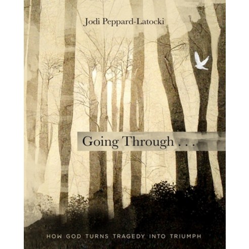 (영문도서) Going Through . . .: How God Turns Tragedy into Triumph Paperback, R. R. Bowker, English, 9798218095314