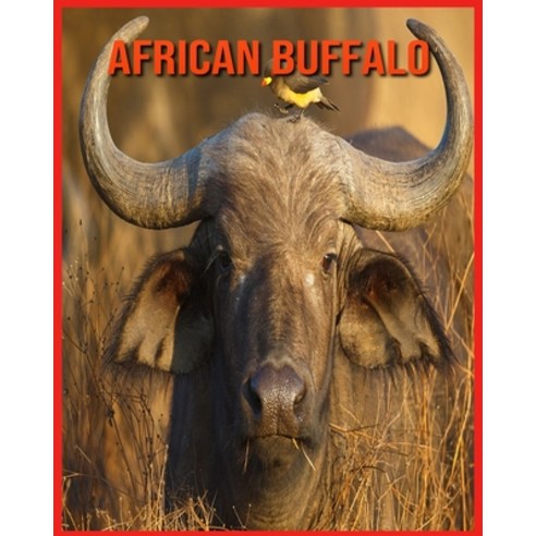 African Buffalo: Learn About African Buffalo and Enjoy Colorful Pictures Paperback, Independently Published, English, 9798705915163