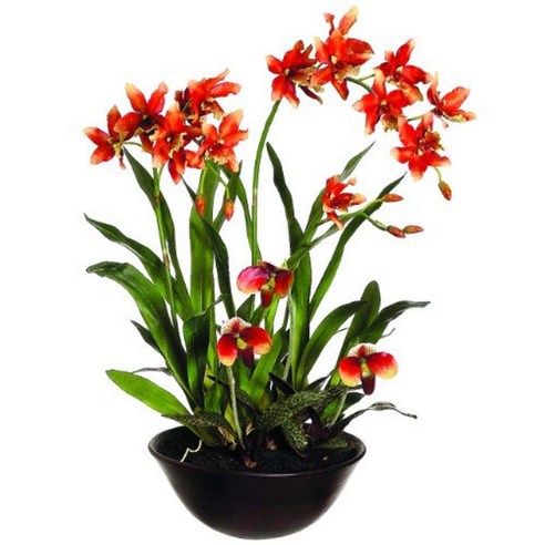 Silk Décor Oncidium/Lady's Slipper Orchid Floral Arrangements 28-Inch 실크 장식 온시디움/여성용 슬리퍼 난초 꽃꽂이 2, 1, Rust