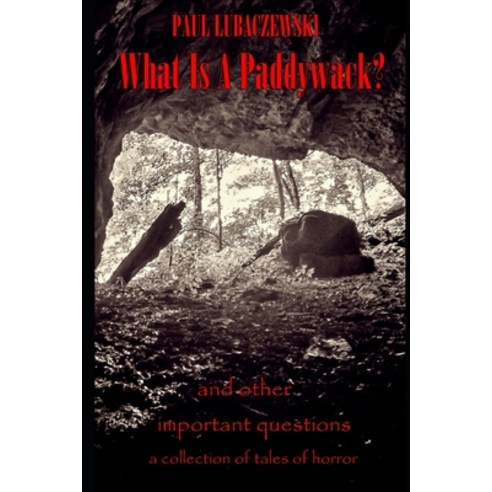 (영문도서) What is a Paddywack?: and other important questions Paperback, Dreamingbig Publications, English, 9781947381452