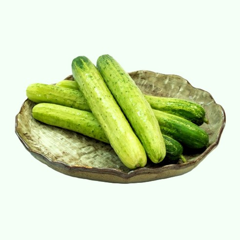 국내산 백오이 아삭한 식감 신선 오이