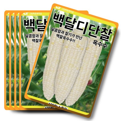 백달디단찰옥수수 100립 달콤함과 찰기가 만난 백찰옥수수 그린하트바이오, 5개