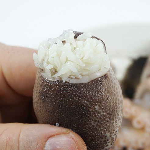 봄의 미식 경험, 서해안 태안 알배기 쭈꾸미로 깨우다