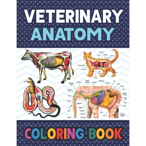 Veterinary Anatomy Coloring Book: Fun and Easy Veterinary Anatomy Coloring Book for Kids.Animal Anat... Paperback, Independently Published