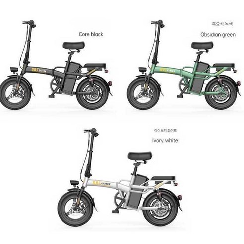 전기스쿠터 세발오토바이 3륜 전기바이크, 2. 48V11A리튬/40km/3인(메인) 우도스쿠터