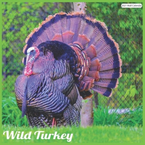 Wild Turkey 2021 Wall Calendar: Official Turkeys Calendar 2021 Wall Calendar Paperback, Independently Published, English, 9798580158488
