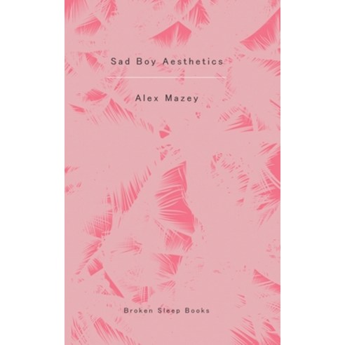 Sad Boy Aesthetics Paperback, Broken Sleep Books, English, 9781913642532