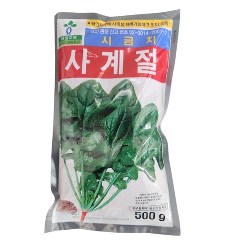 사계절시금치 씨앗 500g 포항초 포항시금치 남해시금치, 1개