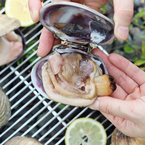 국내산 거제도 자연산 개조개 대합: 바닷속의 진미 맛보기