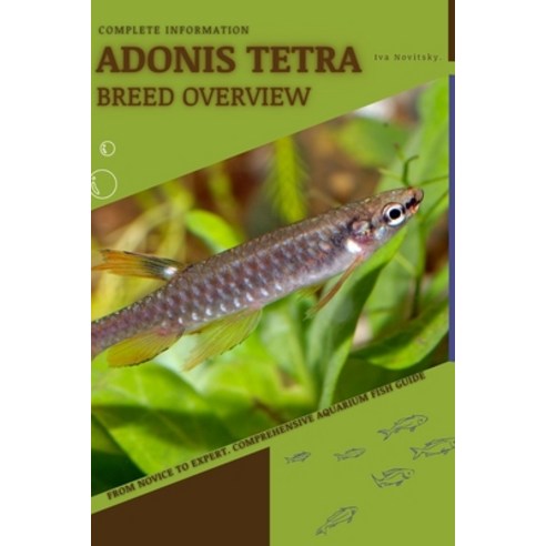 (영문도서) Adonis Tetra: From Novice to Expert. Comprehensive Aquarium Fish Guide Paperback, Independently Published, English, 9798396792098
