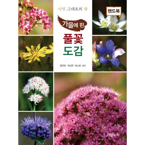 가을에 핀 풀꽃도감(핸드북):자연 그대로의 꽃, 가람누리