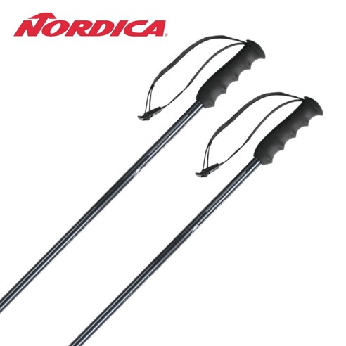   노르디카 스키폴 NORDICA 스키 폴 스톡 2024 ALPINE TI MAN 0B080800002 NEW 모델 일본 정품, 110cm, anthracite/grey