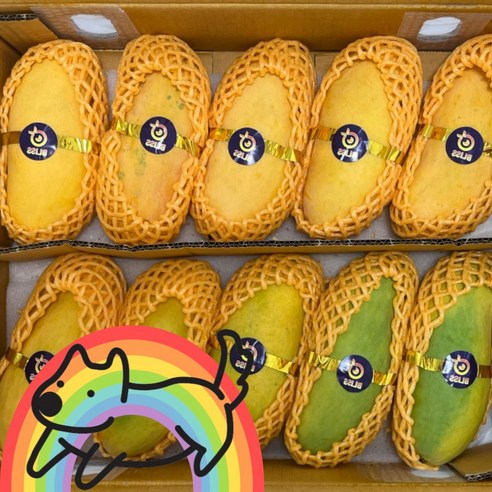 [ 무지개 망고 ] 진짜 달달한 고당도 마하차녹 Mango 새콤달콤 수입과일, 1개, 4kg