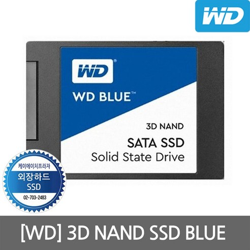 WD Blue 3D SSD 250GB 2.5인치 노트북용 컴퓨터용