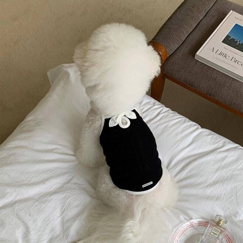 딩동펫 반려동물 로맨틱 리본 나시 티셔츠, 1개, 블랙