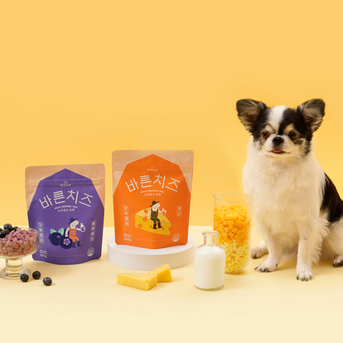 반려견의 행복과 건강을 책임지는 맛있는 노즈워크 트릿