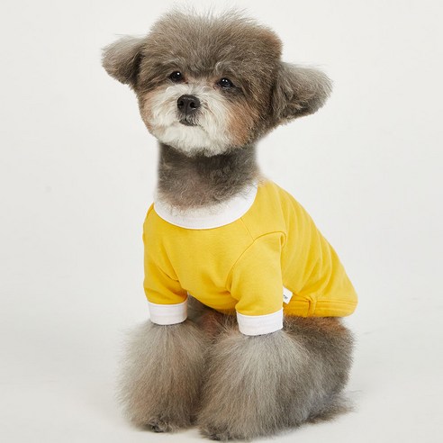 럭키페터 컬러링거 강아지 옷 소형견 대형견 티셔츠 실내복 강아지 내복, 옐로우/화이트, 1개