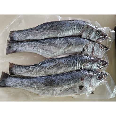 완도 자연산 반건조 농어 2마리(마리당 25~30cm 250~300g), 2마리 350g, 2개